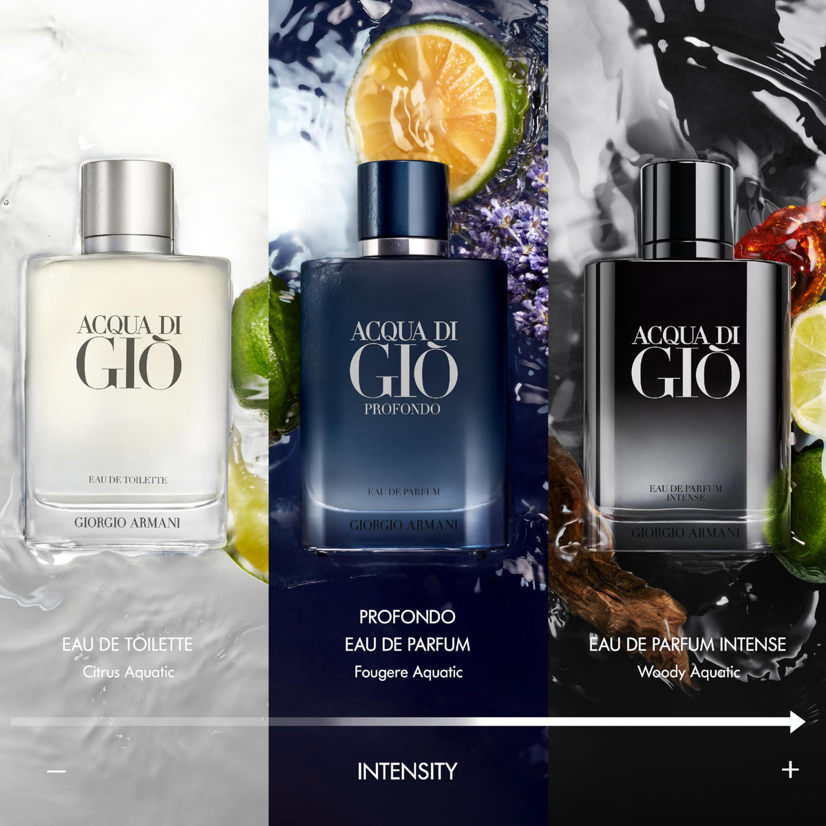 Armani Acqua di Giò